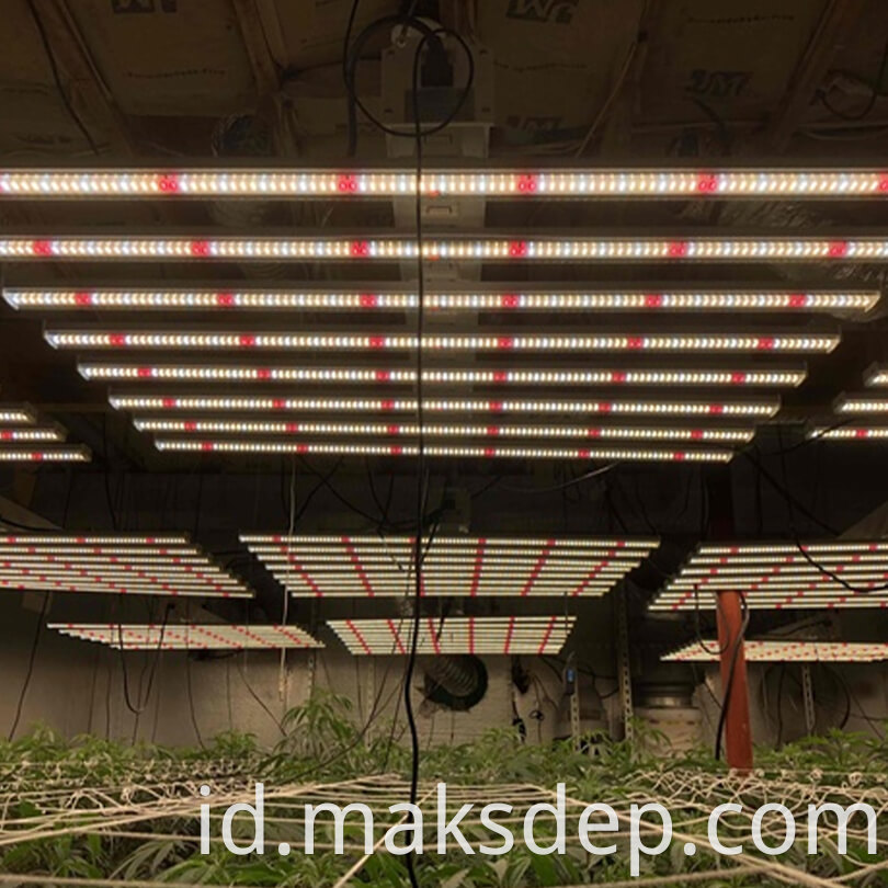 led light for growing indoor plants